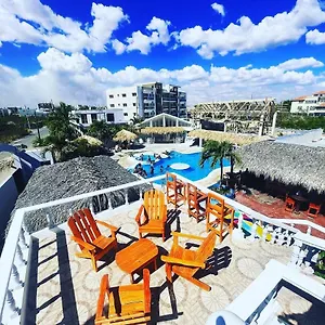 book here